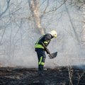 Šilutės rajone padegėjai nusitaikė į mišką – išdegė 40 arų miško paklotės