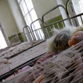 Černobyliečiai: antra galva neužaugo, tačiau baisingos pasekmės liko