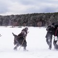 „Tarp pilkų debesų“ tapo populiariausiu visų laikų filmu Lietuvoje