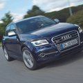 „Audi“ viltingai dairosi į Kiniją