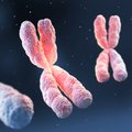 Mokslininkai pateikė intriguojančių duomenų apie žmogaus chromosomas: mano, kad rado iki šiol nežinomų komponentų