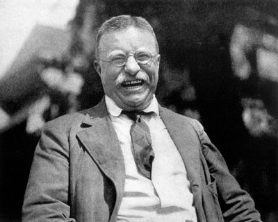 Theodore‘as Rooseveltas
