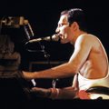 Su gimtadieniu, Freddie Mercury!