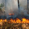 Aplinkosaugininkai primena dėl žolės deginimo: nesilaikantiems taisyklių numatytos baudos