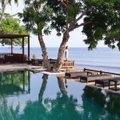 Atsivėrus Baliui, banglenčių įmonės savininkė tikisi vėl pagauti turizmo bangą