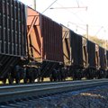 Degutis: Briuselyje nėra vieningos nuomonės dėl „Rail Baltica“ atšakos Vilnius-Kaunas