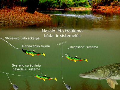Schema. Lėtas masalo traukimas