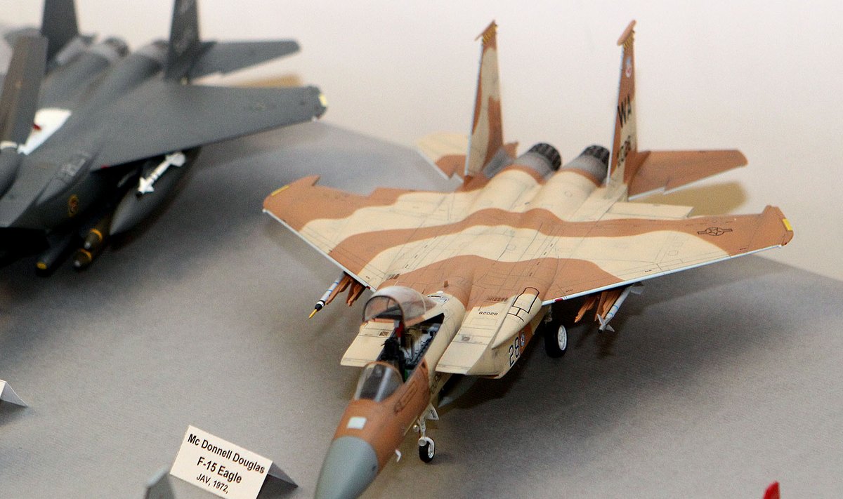 Lietuvos aviacijos muziejuje - orlaivių modelių paroda