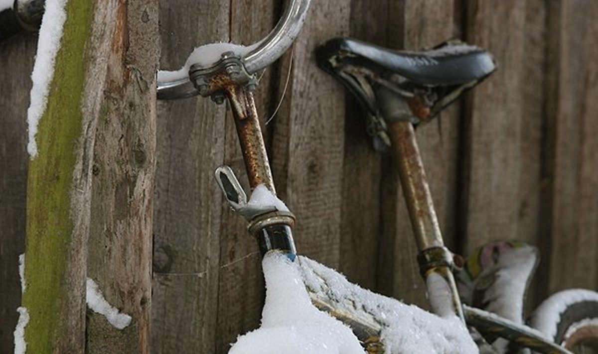 Važinėti dviračiu galima ir žiemą. Tik reikia mokėti jį paruošti šaltajam metų laikui