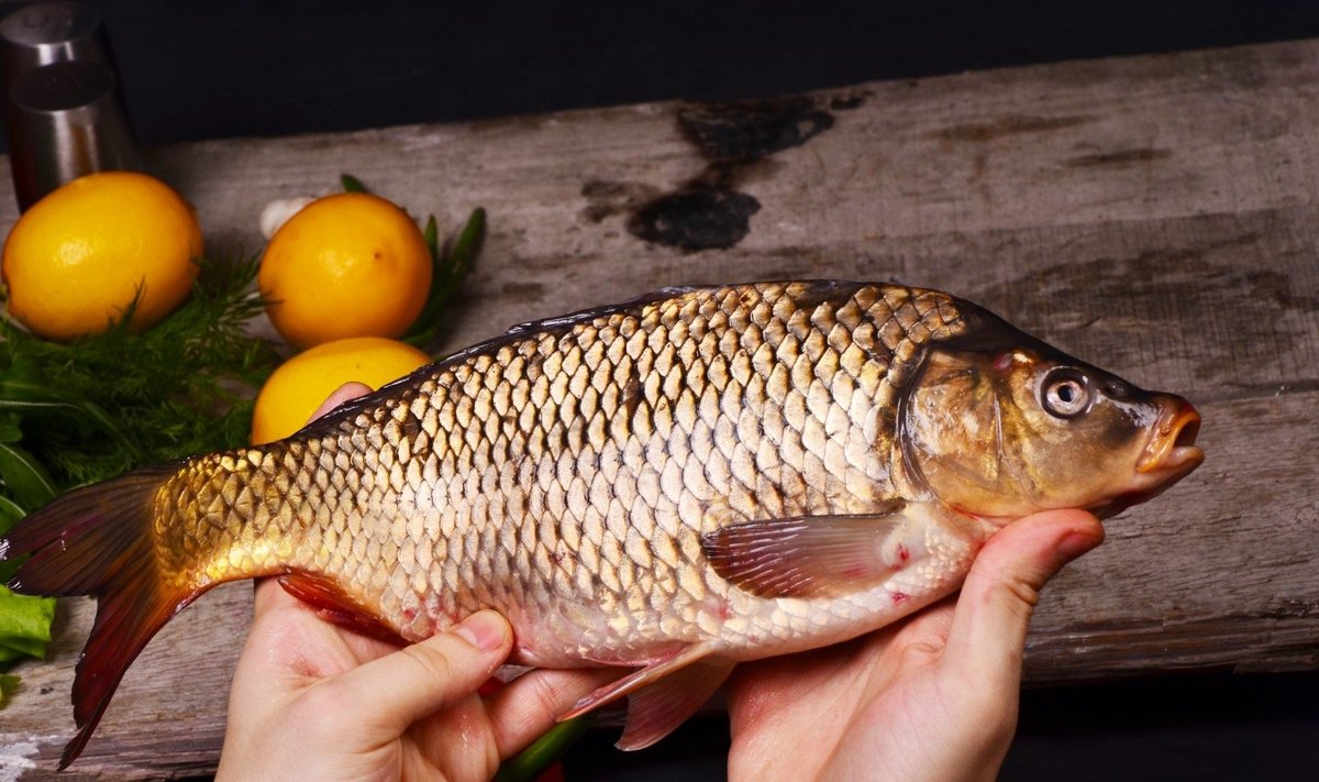 Dažnas žuvies valgymas pašalina daugelio sunkių susirgimų riziką