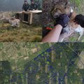 Kur bastosi Lietuvos lūšys? GPS siųstuvai atskleidė neįprastus Lietuvos miško kačių maršrutus
