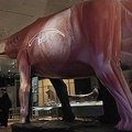 Niujorke surengta didžiausių pasaulio dinozaurų paroda