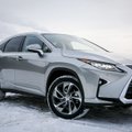„Lexus RX“ testas Lietuvoje: žiemos palydos ant aštrių briaunų