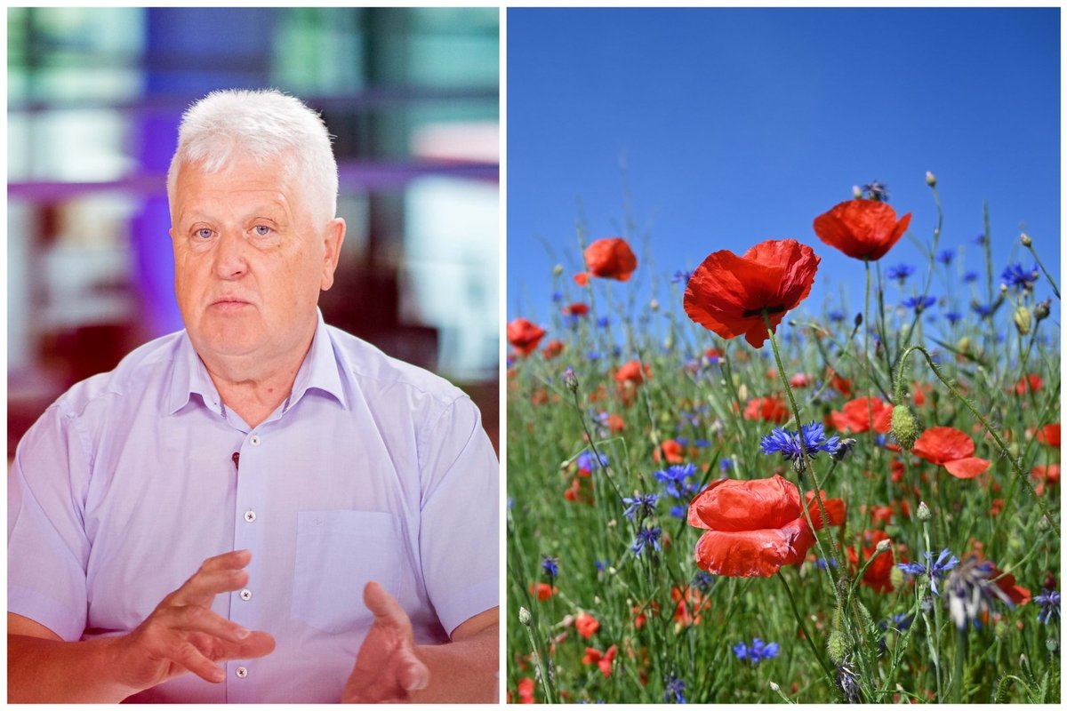 Gamtininkas Selemonas Paltanavičius pasakė, kada pagaliau prasidės ...