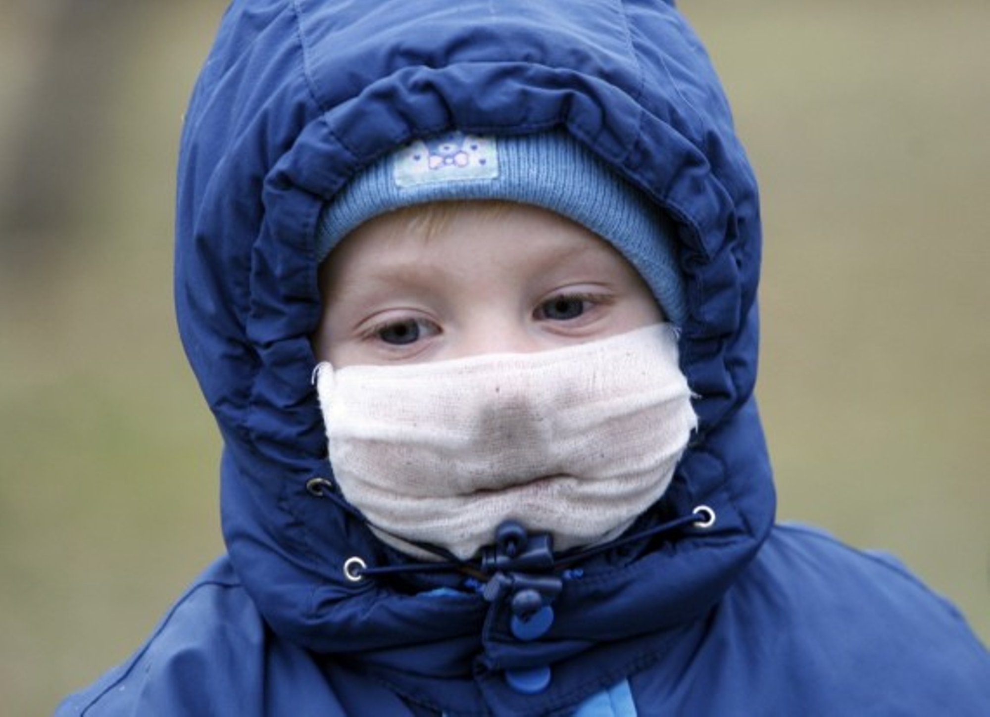 Vilniuje Dėl Kiaulių Gripo Gali Būti Uždaryta Mokykla - Delfi