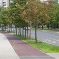 Vilniuje nutiestas naujas dviračių ir pėsčiųjų takas