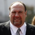 Prieš J. Gandolfini mirtį kurto serialo dar teks palaukti