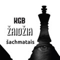 KGB metodai: neįtikusiam šachmatų didmeistriui davė butą, kad galėtų jį stebėti