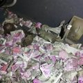 Į bankomatą įlindusios žiurkės puota: krūvos banknotų virto mažais skuteliais