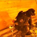 Rusijos policija aptiko kanapių ūkį uoste