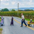 Are Amish children the healthiest in the world?