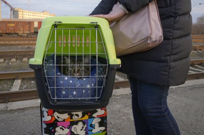 Kramatorske katė su šeimininke laukia į Kijevą vykstančio traukinio