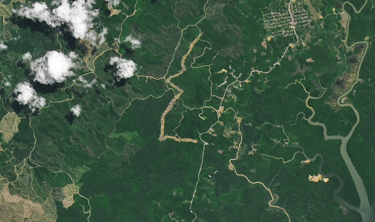  NASA Žemės observatorijos išplatintose palydovo nuotraukose matoma, kad 2022 metų balandį vieta tebuvo žalias plotas tropiniame atogrąžų miške.