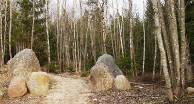 Akmenų rūžos pažintinis takas Tytuvėnų regioniniame parke