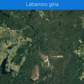 Įvertinkite patys, kaip Labanoro giria keitėsi nuo 1984 m. iki šių dienų: viską parodo palydovinės nuotraukos
