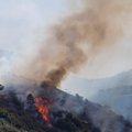 Gran Kanarijos centrinėje dalyje kilo miško gaisras