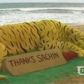 Menininkas iš smėlio nulipdė 4,5 metrų ilgio tigrą