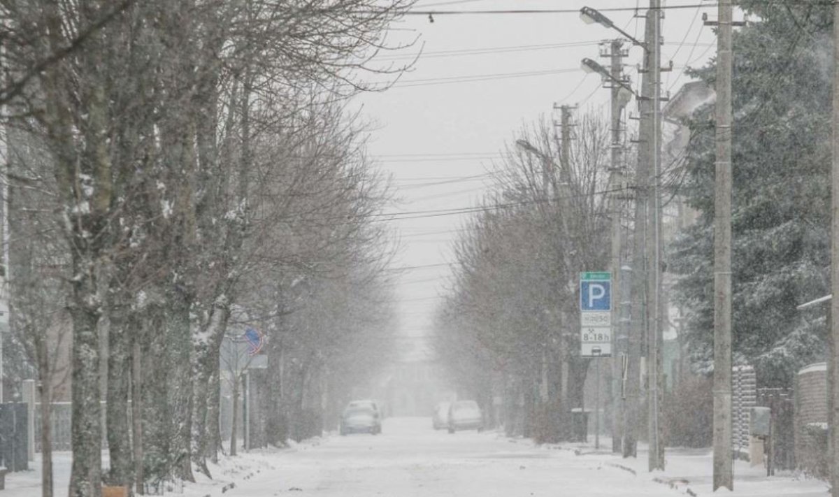 Žiema Kaune