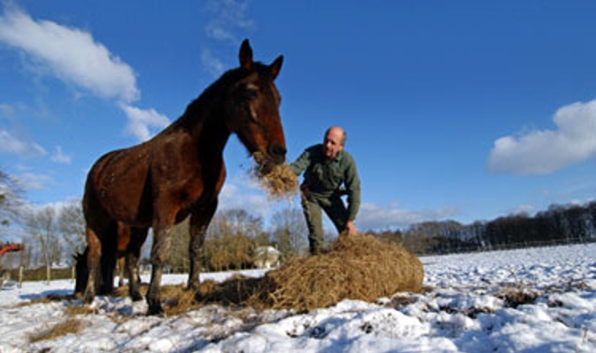 Prancūzų ūkininkas šeria savo arklį Vaubadono apylinkėse. 