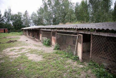 Gyvūnų daugykla, asociatyvi nuotr.