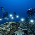 Ramiojo vandenyno dugne – įspūdingas radinys: mokslininkai iki šiol nebuvo regėję nieko panašaus
