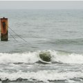 Pokyčiai Baltijos jūroje kelia grėsmę mėgiamam žvejų laimikiui