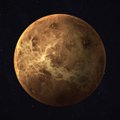 Kur dingo Veneros palydovas?