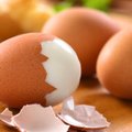Kelios paprastos gudrybės, kaip lengviau ir greičiau nulupti virtus kiaušinius