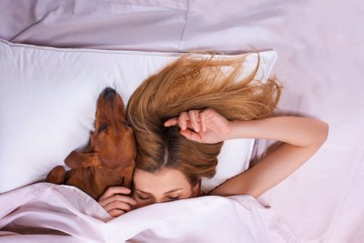 Miegas su šunimi