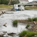 ФОТО: Литва из-за засухи просит Беларусь помочь восстановить уровень реки Нерис