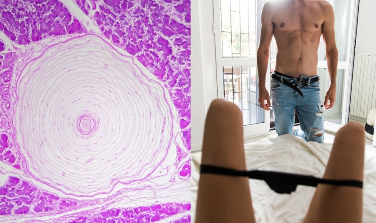 Nervinės ląstelės lytiniuose organuose. Shutterstock asociatyvi nuotr.