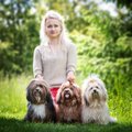 Visada „kalti“ šunys, sako šunų mylėtoja, fotografė Inesa Klimavičienė
