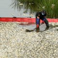 Po masinio žuvų gaišimo Oderio upėje – džiuginančios naujienos: matyti atsigavimo ženklai