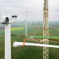 Pradedamos „Ignitis grupės“ vėjo jėgainių Mažeikiuose statybos