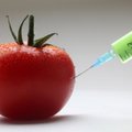 Lietuva pritaria siūlymui ES valstybėms drausti auginti GMO