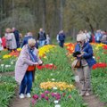 Skubėkite aplankyti: Burbiškio dvare žydi tūkstančiai tulpių