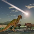 Mokslininkai atkūrė, koks pragaras Žemėje prasidėjo iš karto po dinozaurus pražudžiusio asteroido smūgio