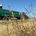 Nausėda žada kovoti, kad šalies ūkininkams ES išmokos augtų sparčiau