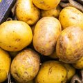 Bulvių veislių gidas: ekspertė patarė, kurią rūšį rinktis virimui, o kurią bulviniams blynams