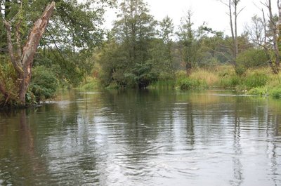 Lietuvoje kyla nemažai diskusijų, ar verta užvenkti upes